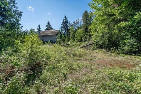 Builders or looking to build your dream home or cottage. This lot is 12.4 acres, near a school bus route and just north of Huntsville. We're in the beautiful Muskoka region close to Lake Rosseau, Lake Joseph and many other key lakes. under 10 minutes...