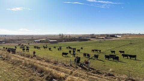 Welcome to this productive 200-acre farm 5 miles Southeast from the center of La Salle, Colorado. Nestled on the Front Range of Colorado, this well maintained Weld County farm operation offers a great location for rural living in a quickly developing...