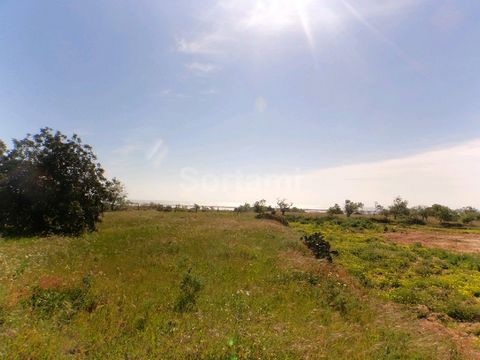 Rustic land with privileged location! Flat property, of quite considerable area, located in a place of great expansion in the city of Olhão. This land has good access and is just two kilometers from the beautiful Algarve beaches, more precisely from ...