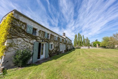 Natacha Bodiot and WALTER and MAISON en Charente Maritime offer: ENVIRONMENT: A small tourist town in the Royannais region, Mortagne-sur-Gironde is a site of interest with its historic village, its fishing port and its unique landscapes. Village labe...