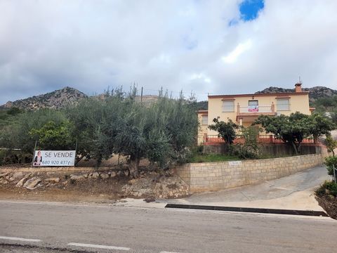 This south facing detached villa is located on a plot of 1,437.18 square meters, with fruit trees, olive trees, space for orchard, corral of almost 10 meters for animals and a warehouse / garage of 75 square meters. It consists of two floors with a t...