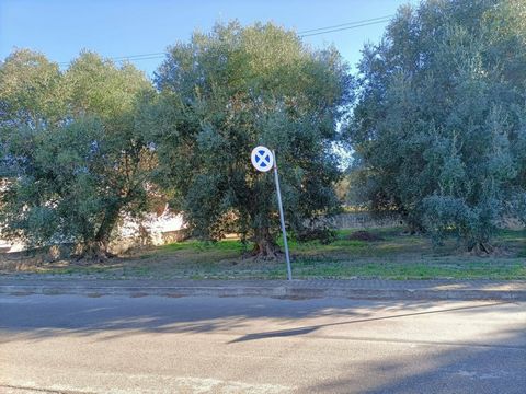 PUGLIA - TARANTO - MARINA DI LEPORANO - VIA SATURO We offer for sale in Località Saturo, a plot of land of approximately 1026 m2, equipped with services such as: AQP connection, electricity, sewerage. The land is located in an area with a high touris...