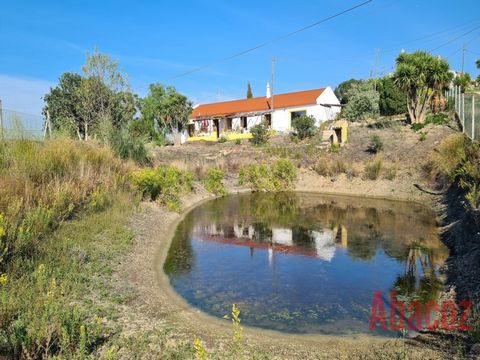 This charming countryside 3-bedroom villa with a swimming pool and large garden is located in a quiet area. This villa offers a peaceful lifestyle whilst maintaining close proximity to the centre of São Bartolomeu de Messines and the town of Silves. ...