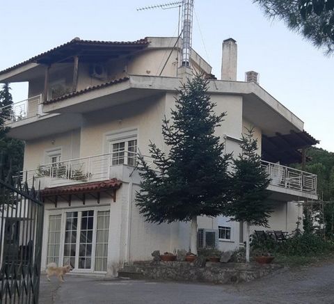 Zentralgriechenland, Livadia. Zu verkaufen ein dreistöckiges Haus von 200 qm. auf dem Grundstück von 2000 qm. Im Erdgeschoss befindet sich eine Wohnung von 100 qm. mit separatem Eingang, besteht Wohnzimmer – Küche, 2 Schlafzimmer, großes Bad mit Jacu...