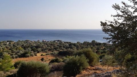 Zu verkaufen ein Lpot Land von 4.500 qm.m. auf der Insel Samos. Das Land ist bebaubar, innerhalb des Stadtplans, 200 m. vom Meer mit schönem Meerblick. 60 Olivenbäume wachsen auf dem Grundstück. Preis 55.000 Euro.