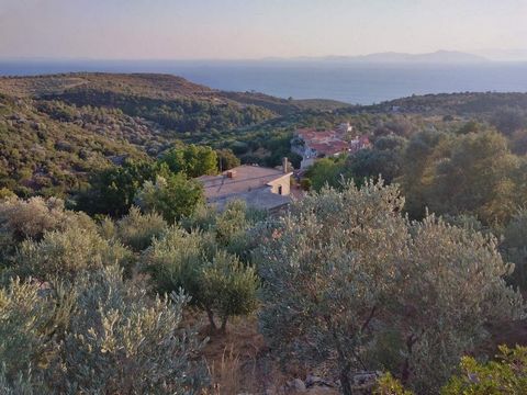 Ein Grundstück zum Verkauf im Dorf Skoureika, Insel Samos. Das Grundstück ist 1000 qm groß, es hat ein aus Stein gebautes unfertiges Gebäude von 35 qm, 13 Oliven, es ist innerhalb der Siedlung und hat einen fantastischen Blick auf die Ägäis, weil es ...