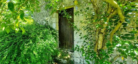 photo no. 37