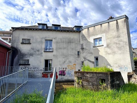 photo no. 10