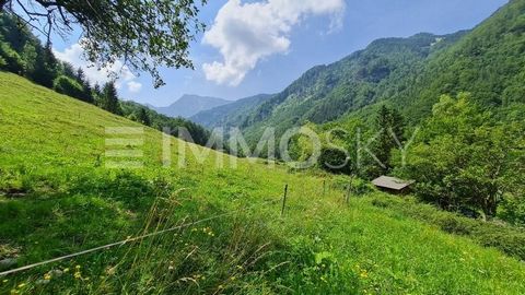 Premium Baugrundstück mit Altbestand, mit Bergblick (Hohe Nock) sowie absolute Ruhelage! Genießen Sie die einzigartige Lage dieses Anwesens, umgeben von einer idyllischen Parkanlage. Vom Grundstück aus blicken sie auf das majestätische Sensengebirge/...