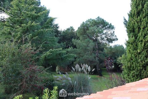 photo no. 14