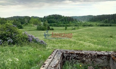 1682124 Внимание! Акция! Финский хутор, возле ручья, с Век/Гранит.фундаментом. 3 Га ЛПХ Половину комиссии- быстрому агенту с покупателем. До СПб 160км- 1,5 часа(отличная трасса 110км/ч) Лахденпохского района Республики Карелия продается большой участ...