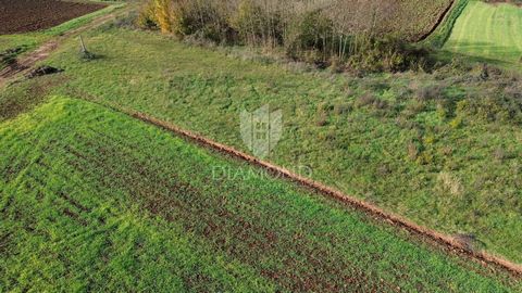 Location: Istarska županija, Gračišće, Gračišće. L'Istria centrale, Gračišće. Vendiamo terreno con concessione edilizia in una posizione bella e tranquilla. Il terreno ha forma regolare e superficie pianeggiante per una metratura complessiva di 1.665...