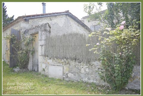 photo no. 2