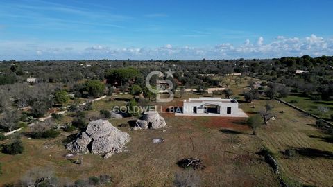 PUGLIA - SALENTO - SANNICOLA A Sannicola, comune situato nel versante Ionico del Salento, proponiamo in vendita una bellissima Villa in costruzione di circa 160 mq, circondata da circa un ettaro e mezzo di terreno, su cui insistono tre caratteristich...