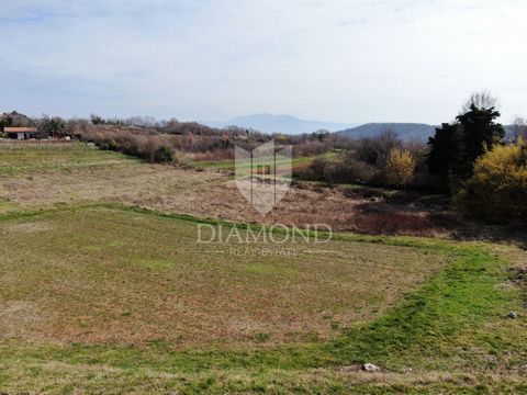 Location: Istarska županija, Pazin, Stari Pazin. Pazin, surroundings, building plot of 3153m2 in a quiet settlement. The land has a secured access road. The property is in an ideal position for living, due to the short distance from all the necessary...