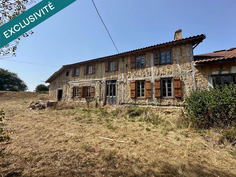 photo no. 13