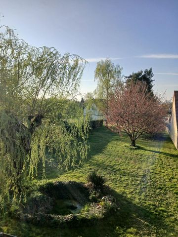 photo no. 11