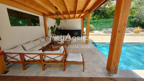 photo no. 10