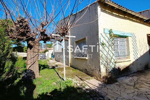 photo no. 11