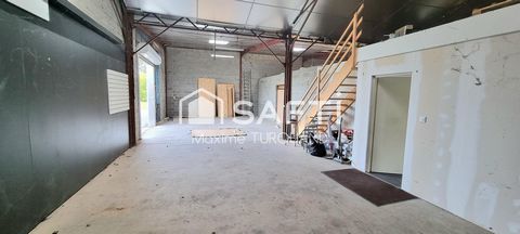 photo no. 10