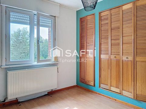 photo no. 8