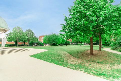 photo no. 14