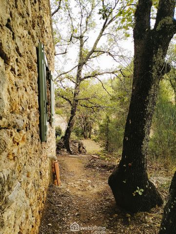 photo no. 11