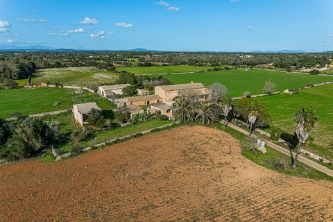 Gelegen op een uitgestrekt perceel van 200.000 m² biedt dit prachtige landgoed ongeëvenaarde privacy en een echte verbinding met de natuur. Gelegen op slechts vijf minuten van Felanitx en tien minuten van Campos, biedt het de perfecte balans tussen a...