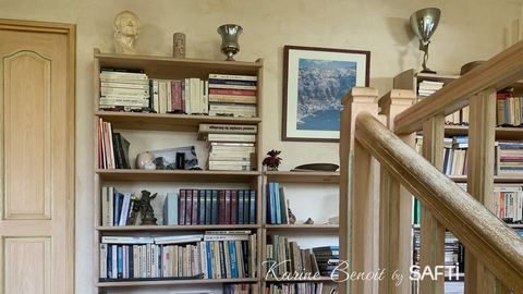 photo no. 9