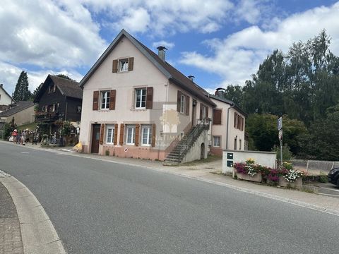 photo no. 10