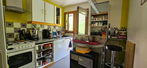 photo no. 9