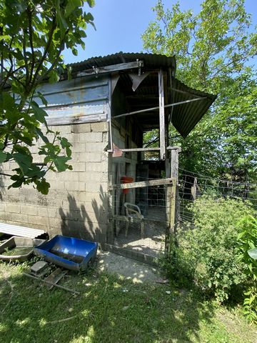 photo no. 17