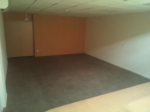 photo no. 8