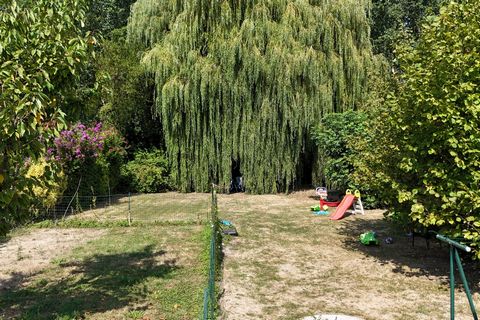 photo no. 18