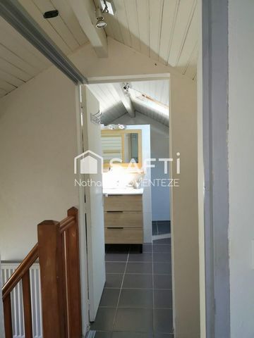 photo no. 7