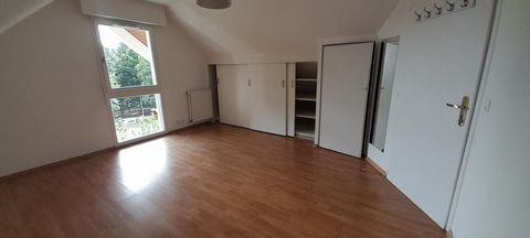 photo no. 13