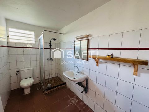 photo no. 13