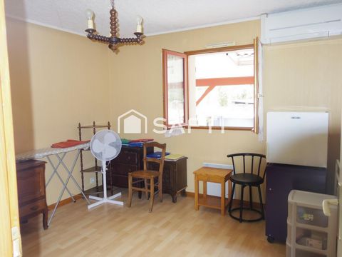 photo no. 6