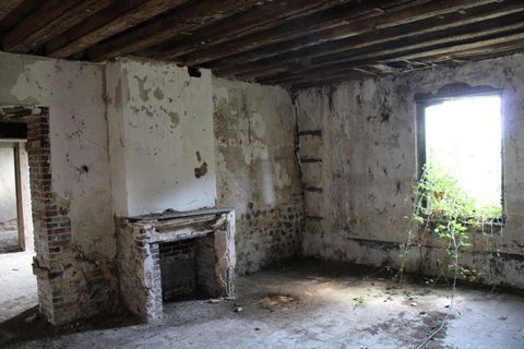 photo no. 7