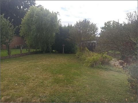 photo no. 5