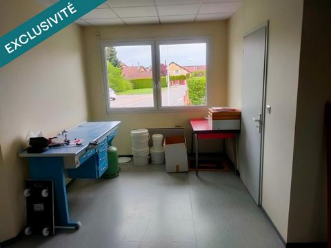 photo no. 11
