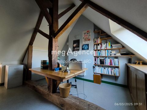 photo no. 9