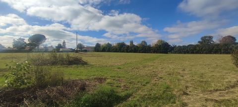 Terrain constructible 8000 m², campagne, proximité ville