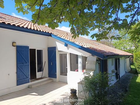 photo no. 10