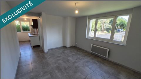Belle appartement entièrement rénové St-Dié