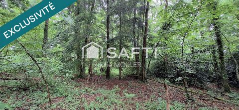 Terrain 2,5Ha dont 3000m² constructibles