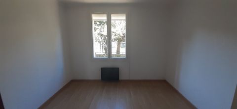 photo no. 7