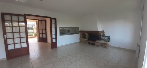 photo no. 16