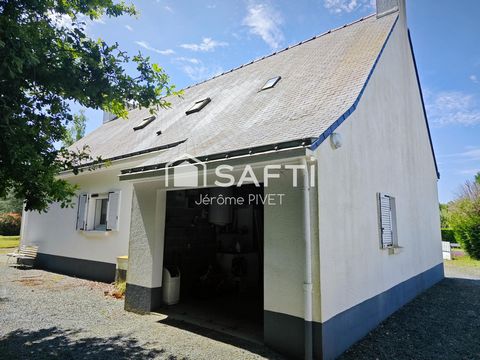 photo no. 10