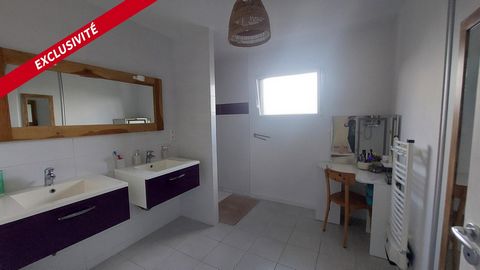 photo no. 10